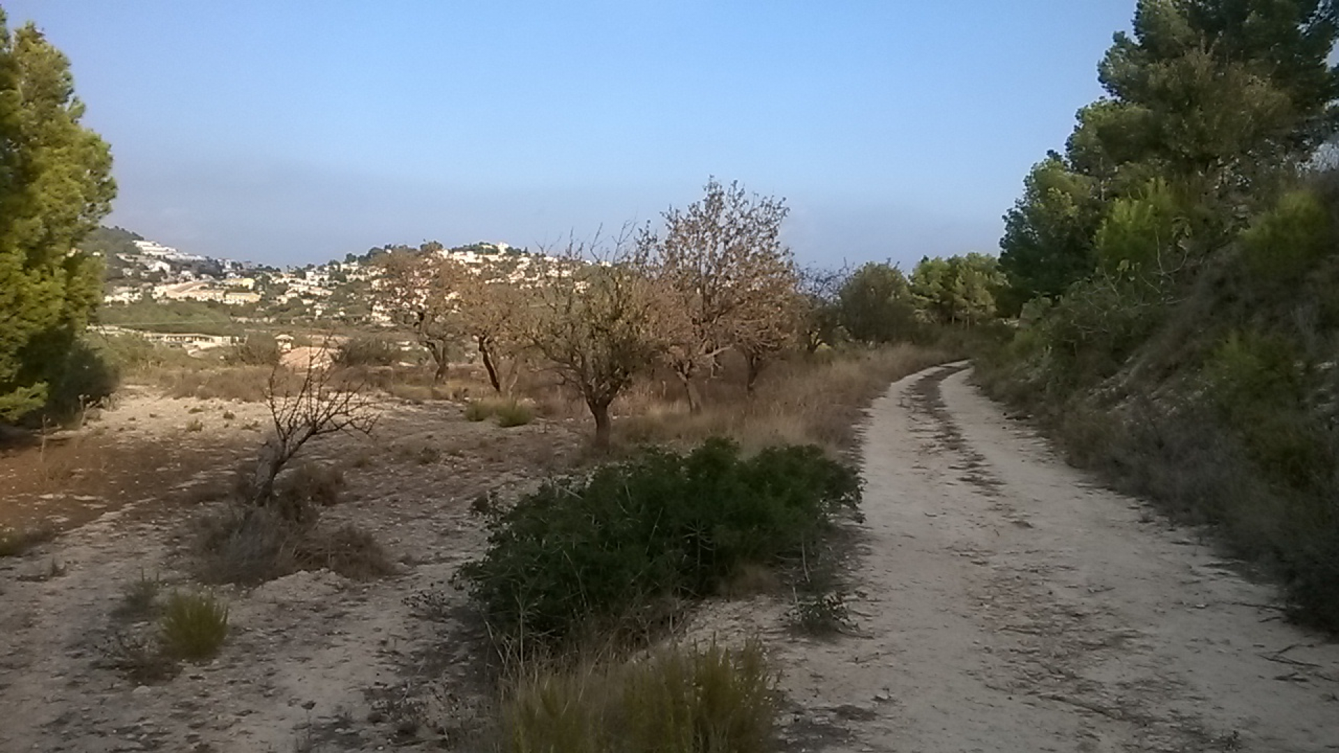 Terreno rústico en Calpe.